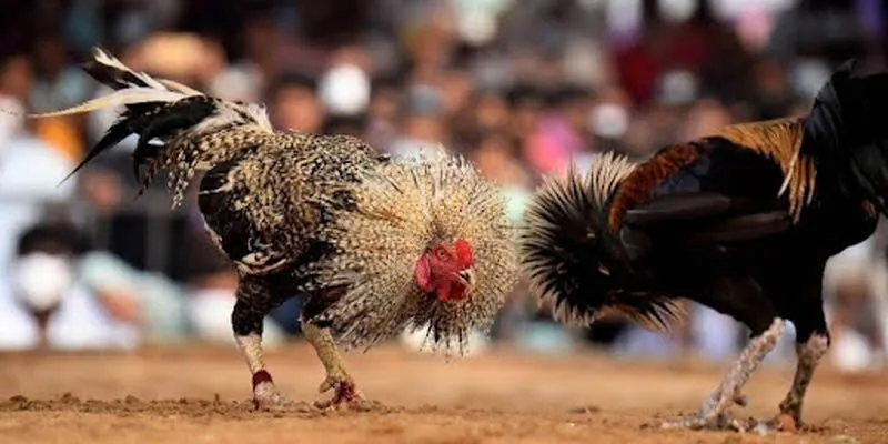 Thời gian trận đấu không giới hạn