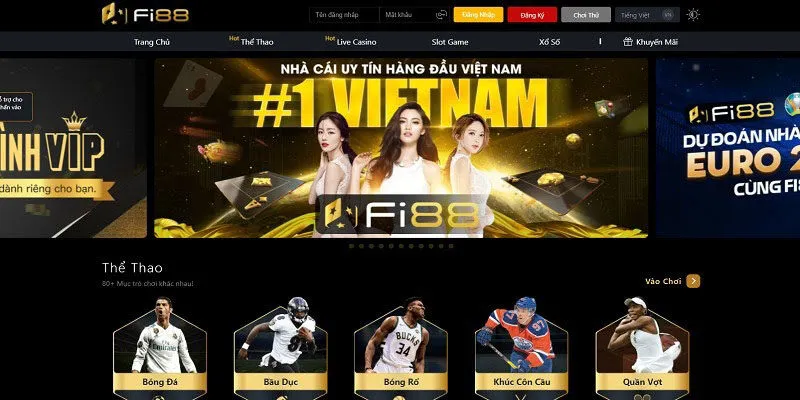 Tổng quan lịch sử phát triển